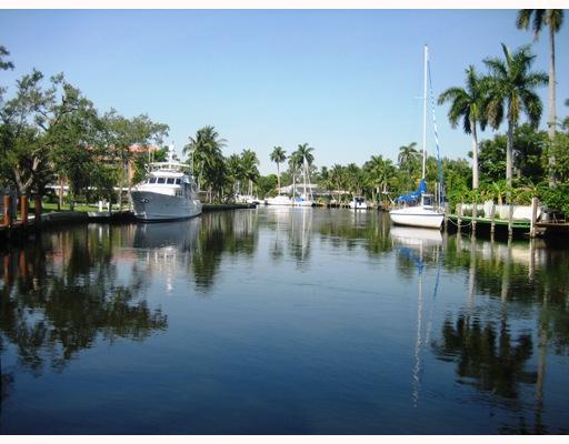 Tarpon River