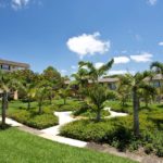 Plantation Scenery