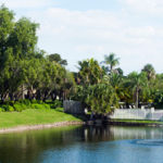 Tamarac